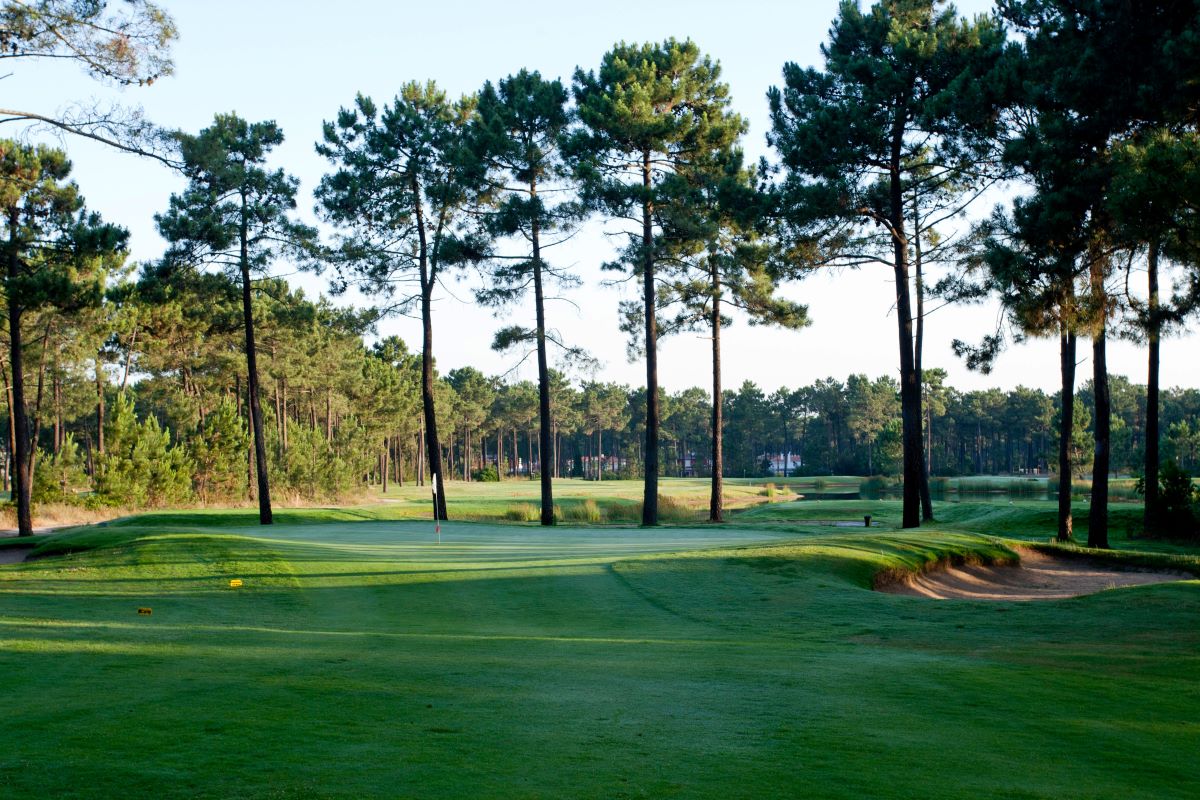 Pine trees around the green on one of the holes at Aroeira Challenge golf course