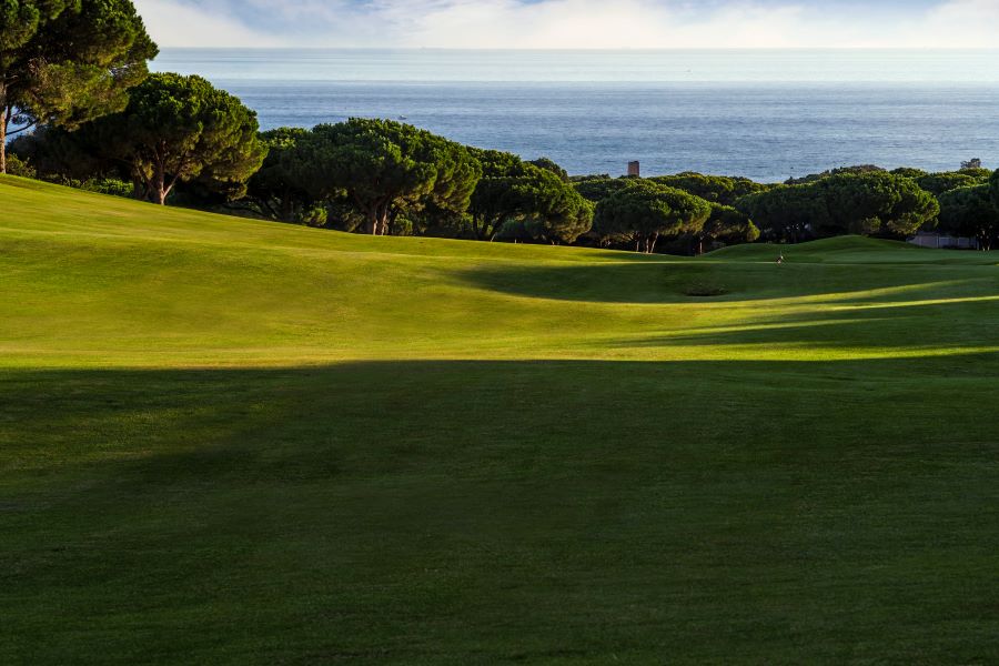 Fairway with green trees and sea in the distance at Cabopino Golf in Marbella, Costa Del Sol
