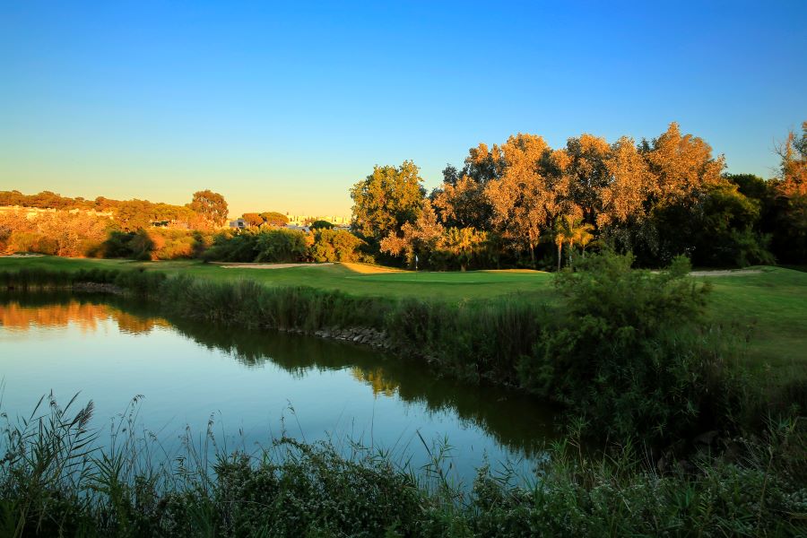 Trees protecting the fairway at Dom Pedro Laguna in Vilamoura