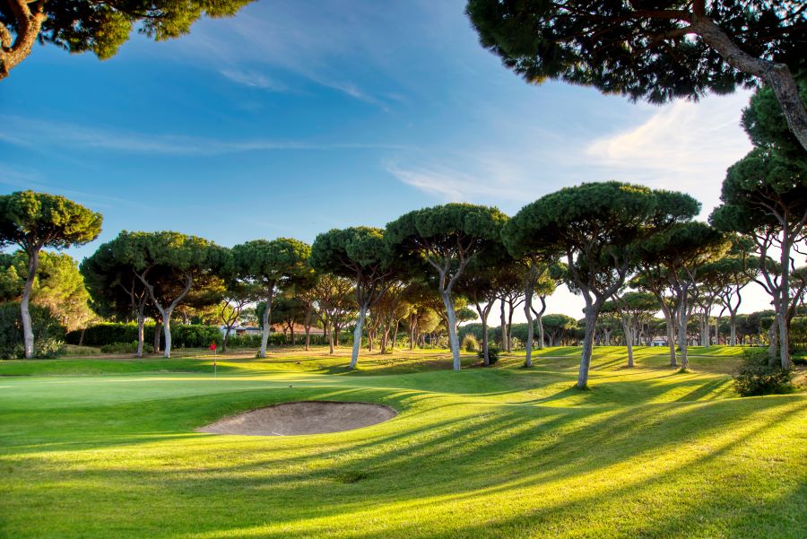 Trees lining fairway at Dom Pedro Millennium Golf Course in Vilamoura