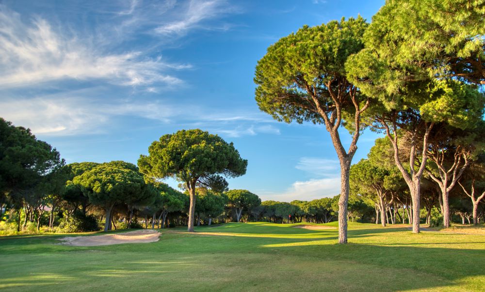 Green trees and blue sky at Dom Pedro MIllennium Golf Course in Portugal