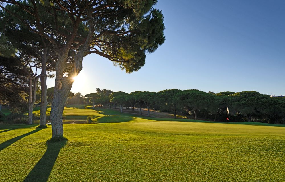 Lush green grass at Dom Pedro Pinhal Golf Course on the fairway