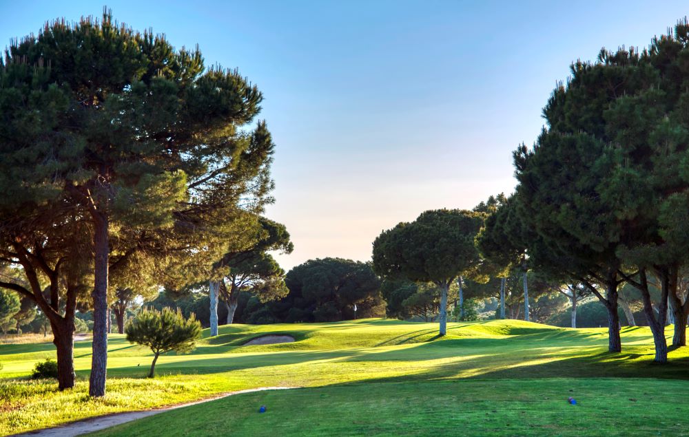 View down the fairway with trees either side at Dom Pedro Pinhal Golf Course