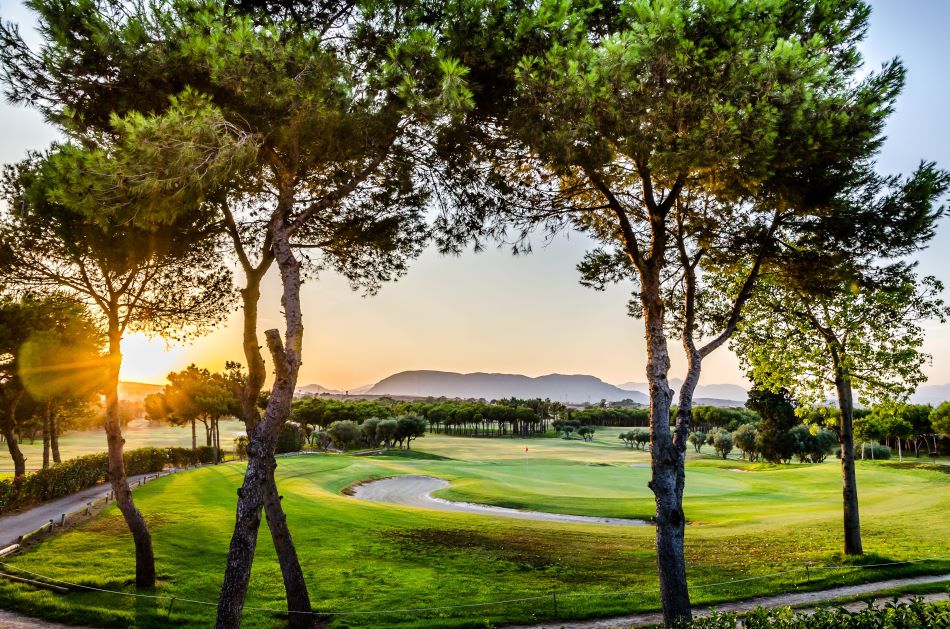 Sunset at El Plantio Golf Club with the course visible through the trees