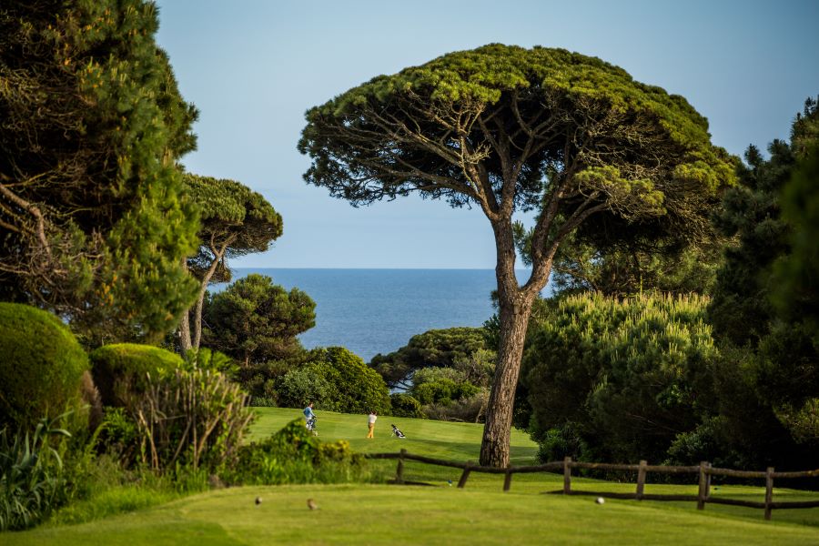Fence with large green tree at Quinta Da Marinha Golf Course in Cascais, Portugal