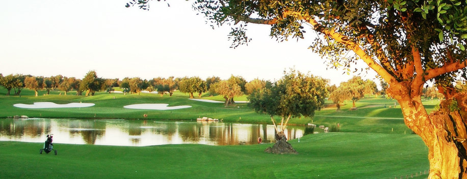 Quinta Da Ria Golf 3