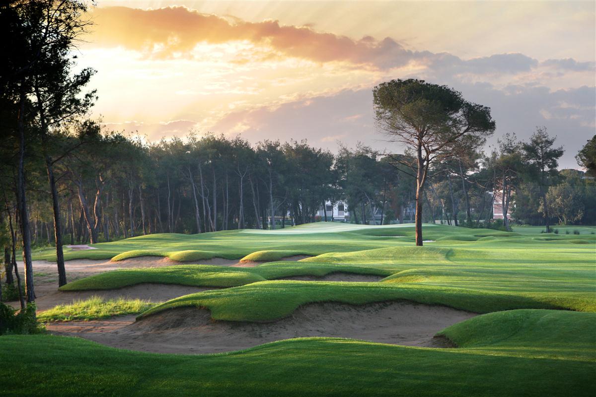 The Montgomerie Maxx Royal 1