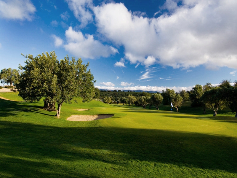 Vale Da Pinta Golf 4