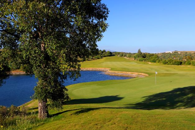 Valle Romano hole 14 with tree in the foreground