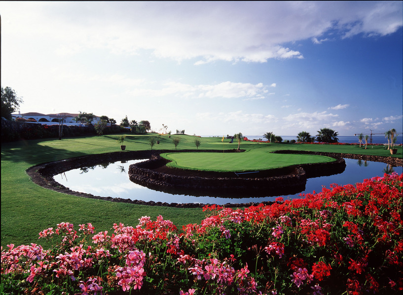 amarilla golf 1