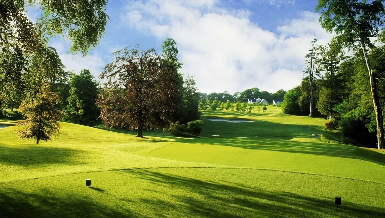 mount juliet 4