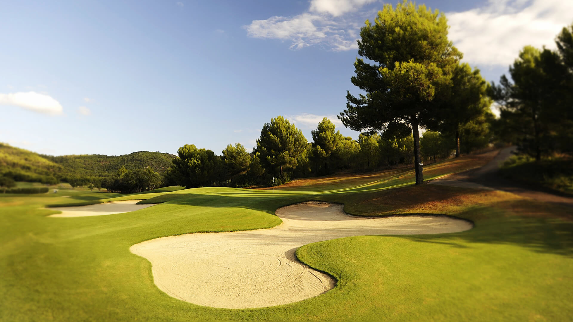 son quint golf 1