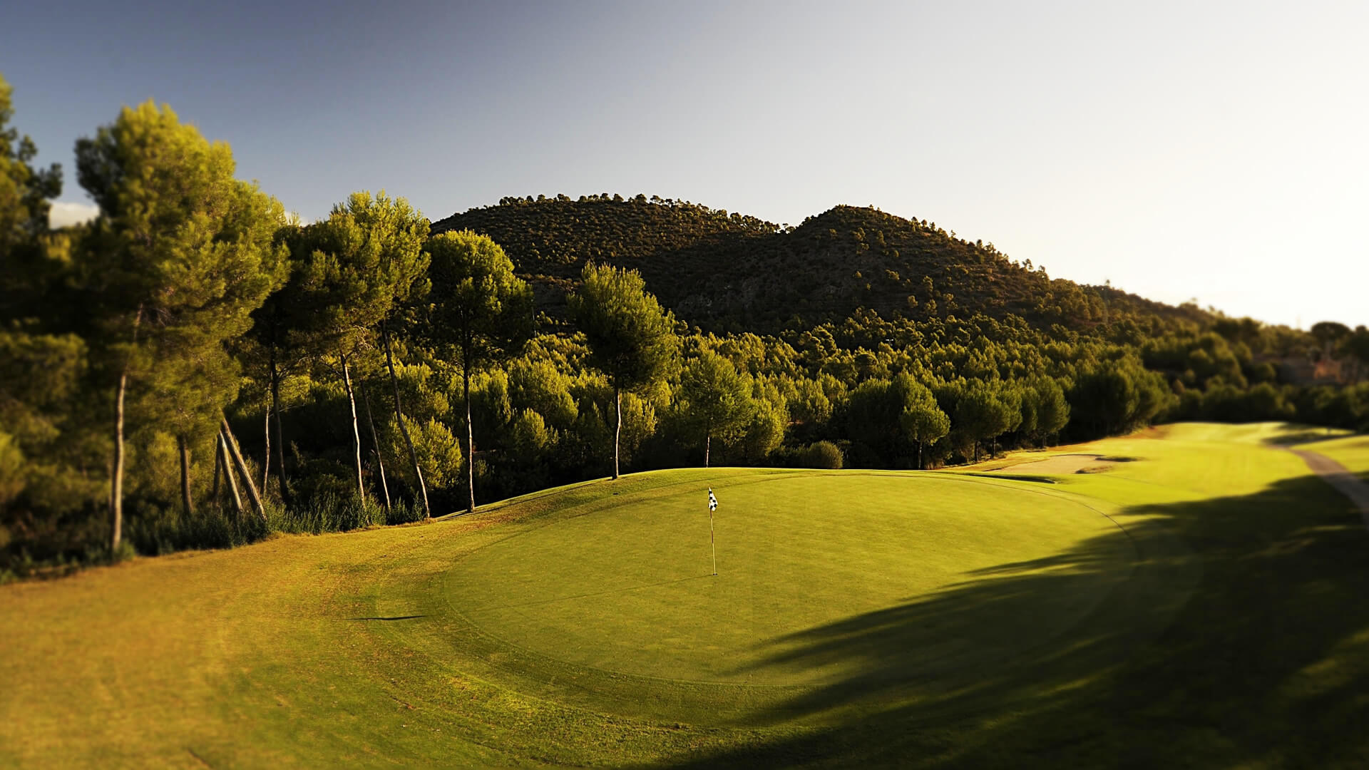 son quint golf 2