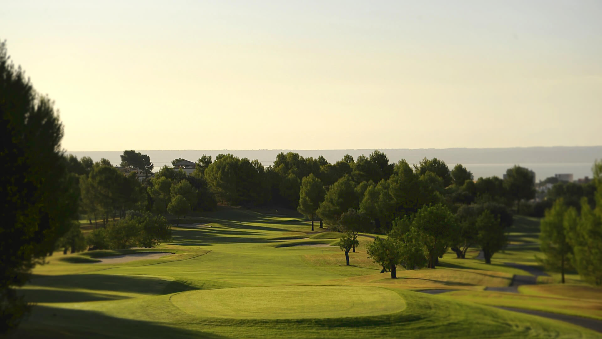 son quint golf