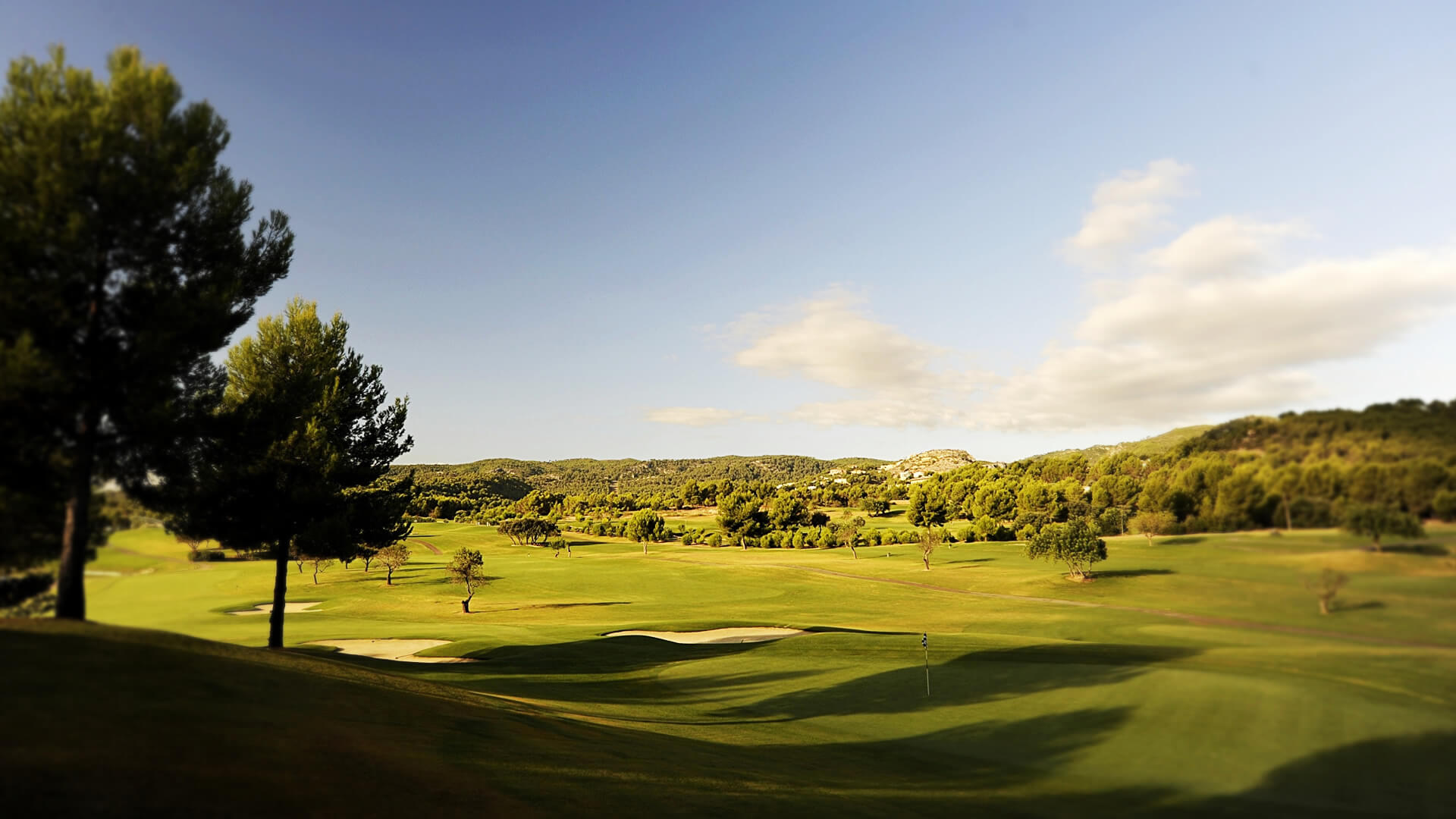 son quint golf 5