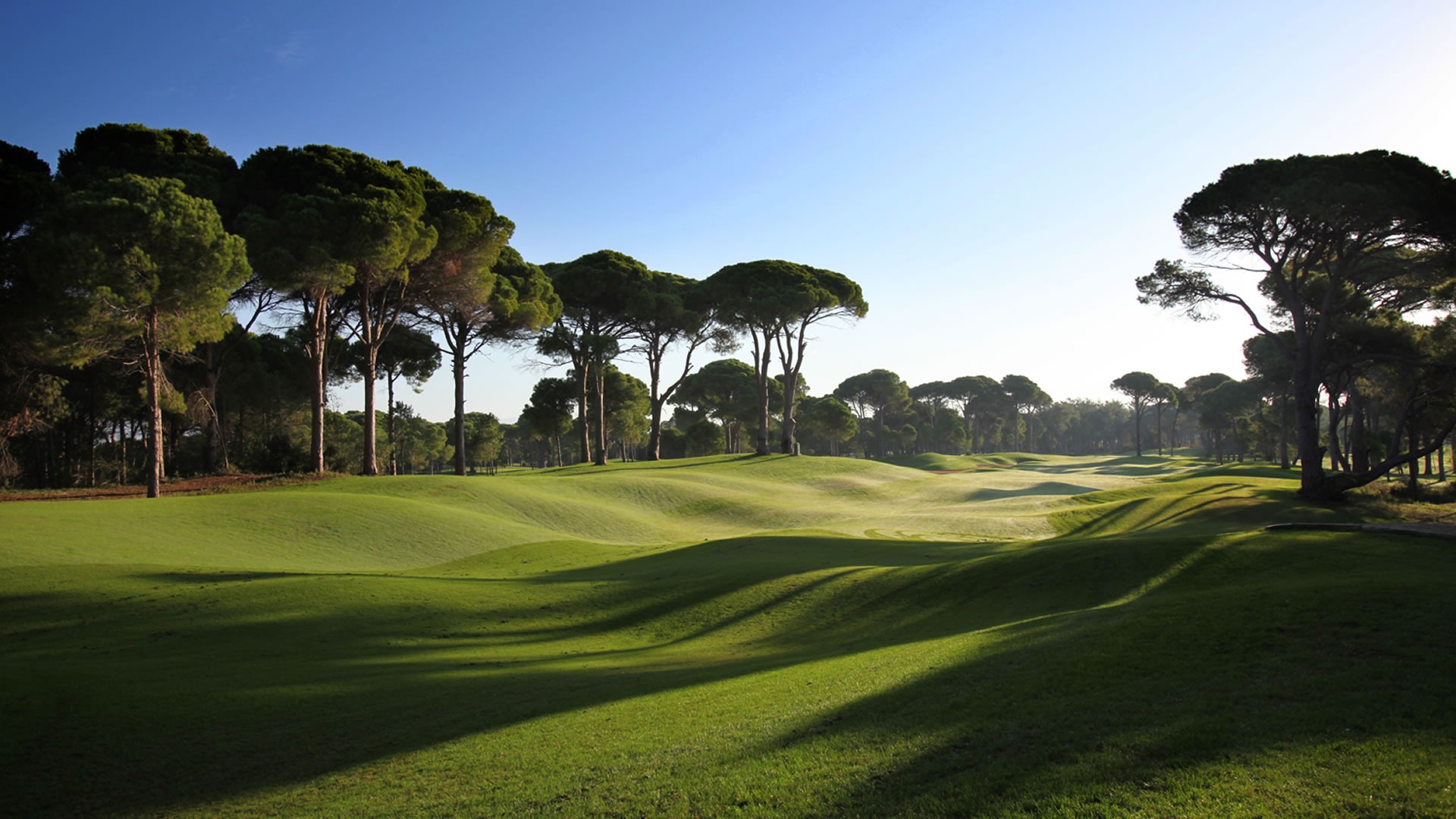 the pines sueno golf 2
