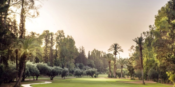 Fairway leading to green at Royal Golf Marrakech