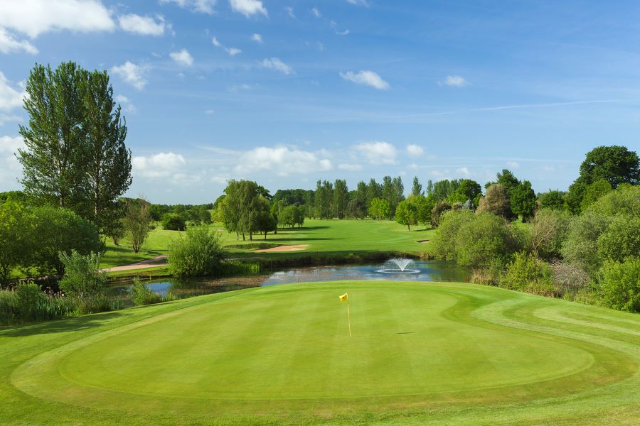 Beck running around the putting green at Belton Woods Hotel, Spa And Golf Resort