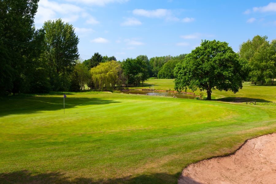 Trees behind the putting green at The Telford Hotel, Spa And Golf Resort