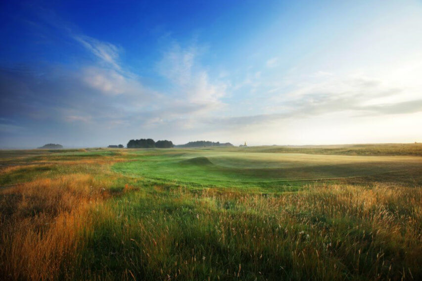Wild flowers on the edge of the fairways at Prince's Golf Club