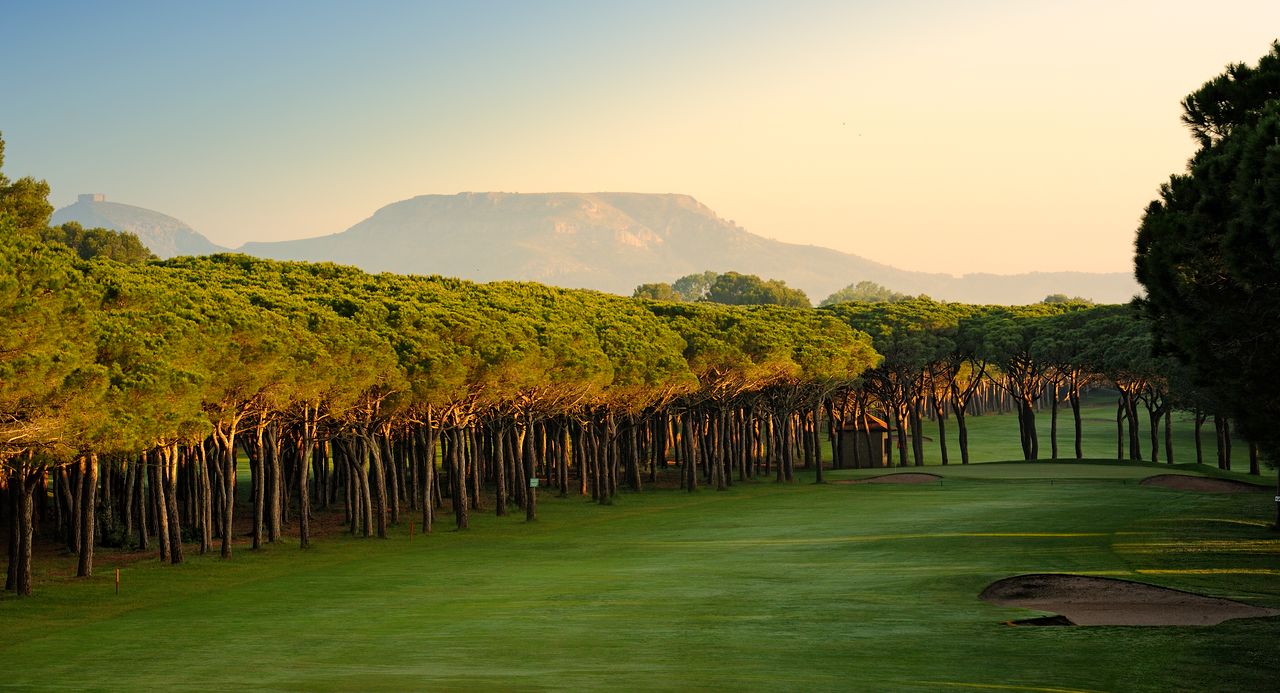 Trees to the left of the fairway at Gol Platja de Pals
