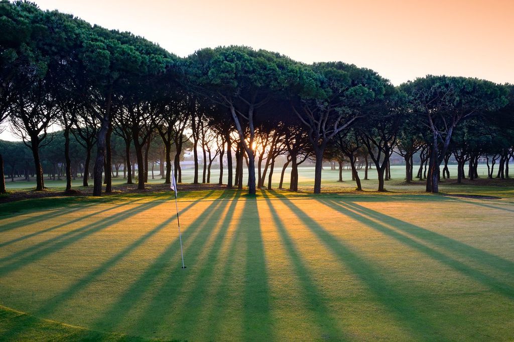 Sunlight through the trees at Gol Platja de Pals