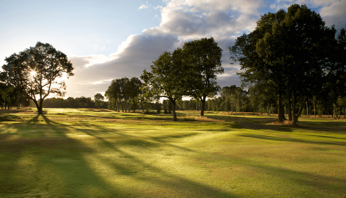moortown golf club