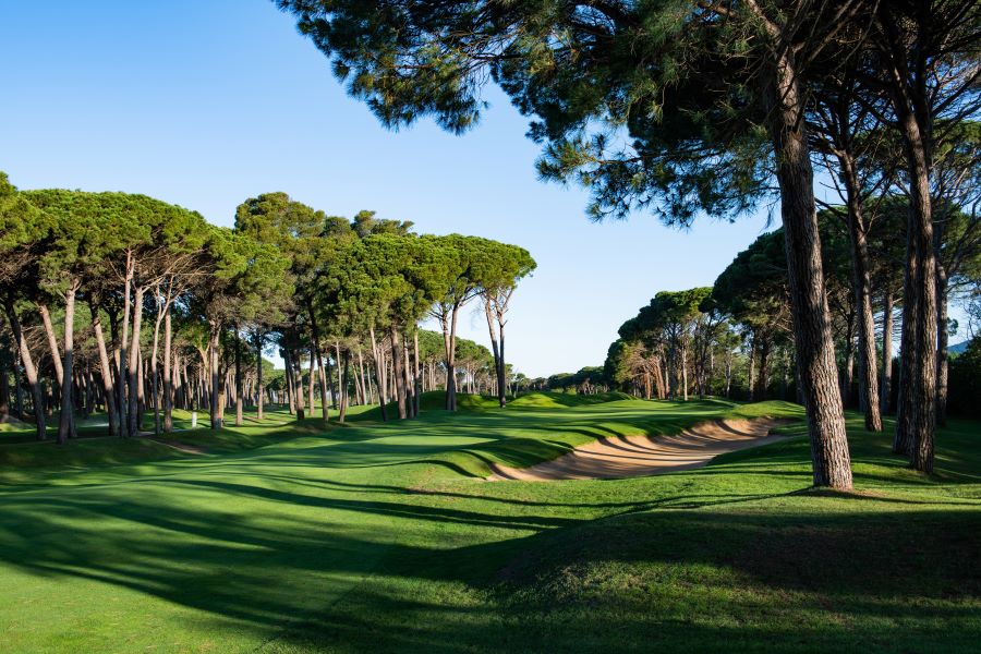 Trees lining fairway of Emporda Golf Course in Girona, Spain