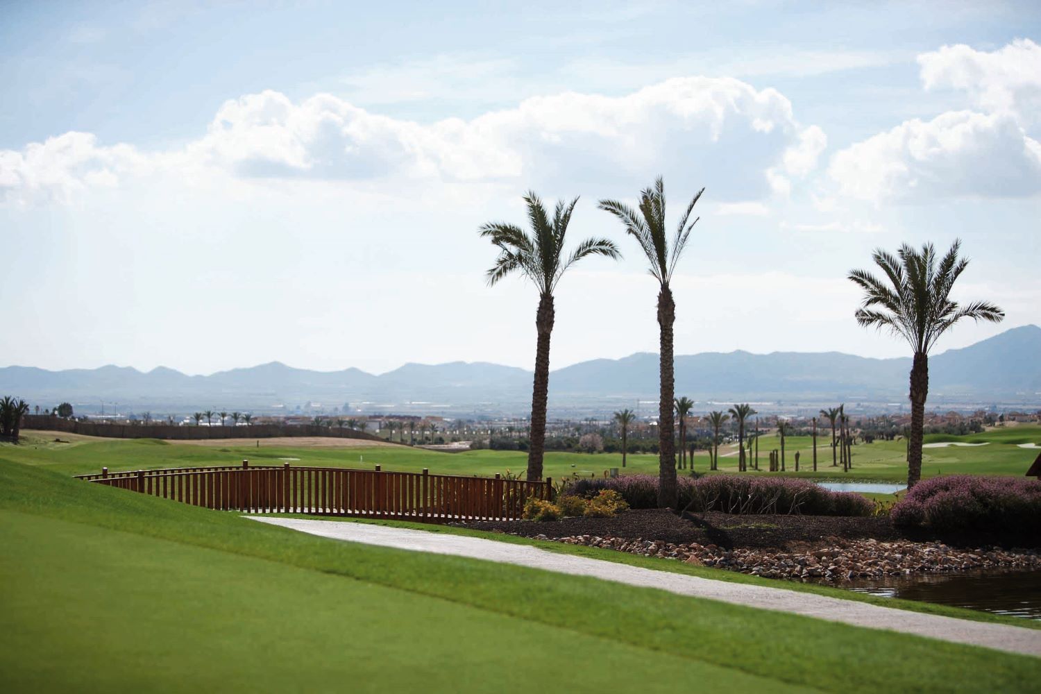 Palm trees on golf course at Hacienda Del Alamo