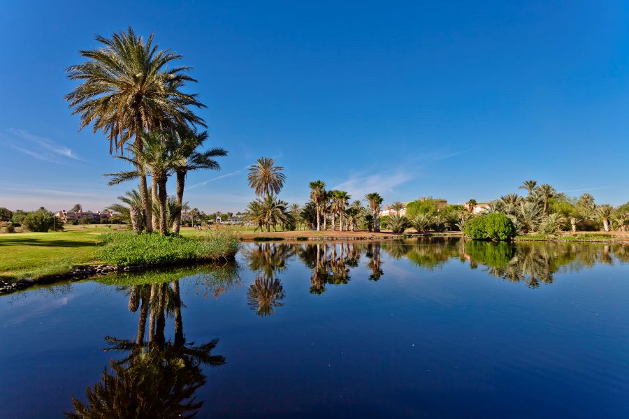 Blue sky and blue water on the lake with palm trees overhanging at Golf Club Palmeraie Marrakech