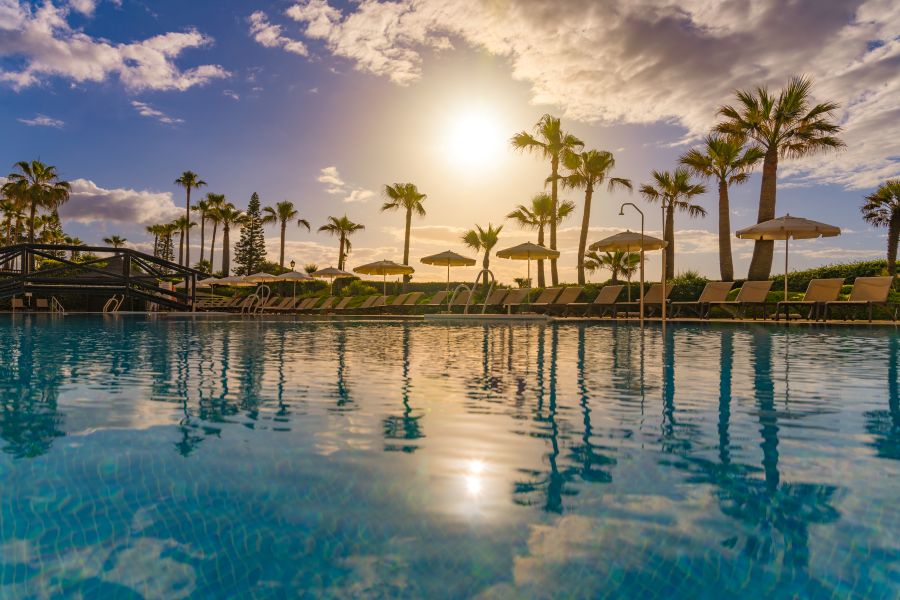 Palm trees over the swimming pool at Elba Estepona Gran Hotel & Thalasso Spa