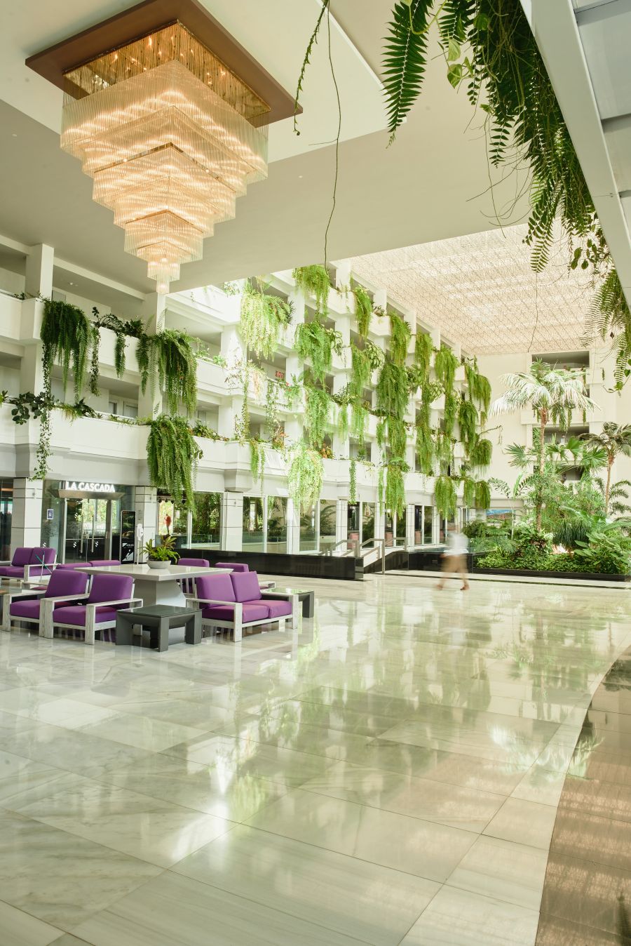 Lobby area with purple seats and green plants at Spring Hotel Vulcano